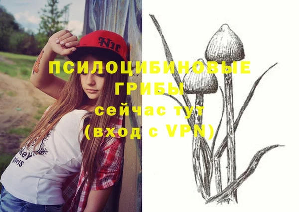 мет Баксан