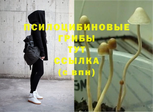 мет Баксан