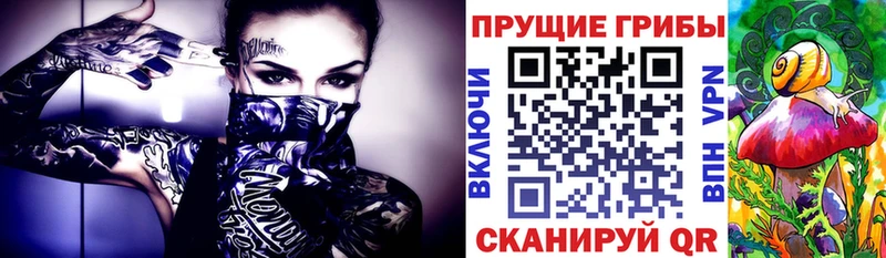 ОМГ ОМГ Грязовец Псилоцибиновые грибы GOLDEN TEACHER купить закладку